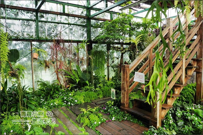台中景點》新社千樺花園.百花齊開,浪漫花園/玻璃屋~森林系景觀餐廳 @青青小熊*旅遊札記 台中景點》新社千樺花園.百花齊開,浪漫花園/玻璃屋~森林系景觀餐廳 @青青小熊*旅遊札記