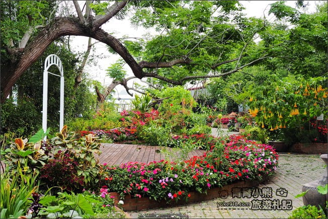 台中景點》新社千樺花園.百花齊開,浪漫花園/玻璃屋~森林系景觀餐廳 @青青小熊*旅遊札記 台中景點》新社千樺花園.百花齊開,浪漫花園/玻璃屋~森林系景觀餐廳 @青青小熊*旅遊札記