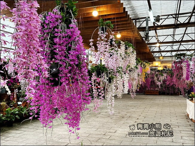 台中后里景點》萌芳花卉農場.粉嫩的石斛蘭綻放中~免費賞花景點推薦 @青青小熊*旅遊札記 台中后里景點》萌芳花卉農場.粉嫩的石斛蘭綻放中~免費賞花景點推薦 @青青小熊*旅遊札記