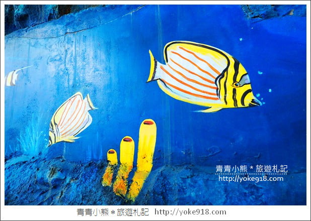 新北瑞芳景點》濂洞國小溜滑梯．超長的海洋3D彩繪溜滑梯好刺激 @青青小熊＊旅遊札記