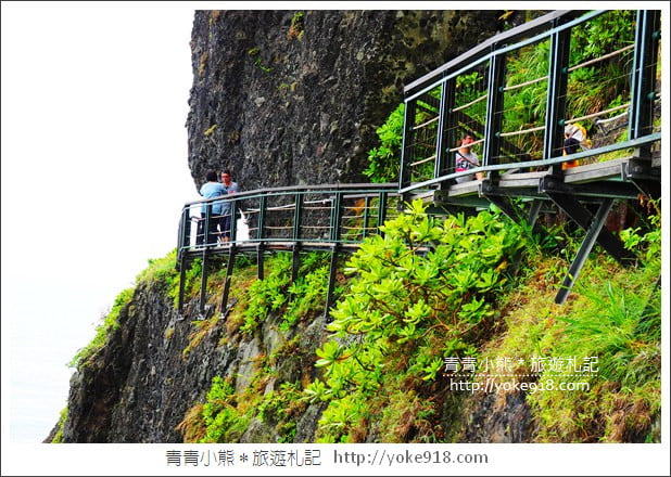 花蓮景點》豐濱親不知子斷崖．透明天空步道~一起挑戰你的膽量 @青青小熊＊旅遊札記