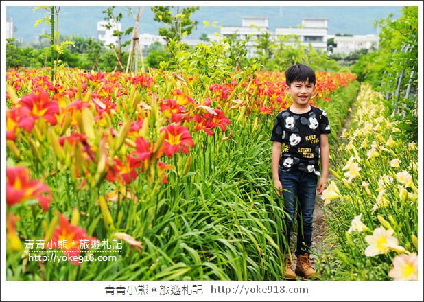 花蓮一日遊.二日遊》好玩必拍花蓮景點推薦~親子小旅行 @青青小熊*旅遊札記 花蓮一日遊.二日遊》好玩必拍花蓮景點推薦~親子小旅行 @青青小熊*旅遊札記