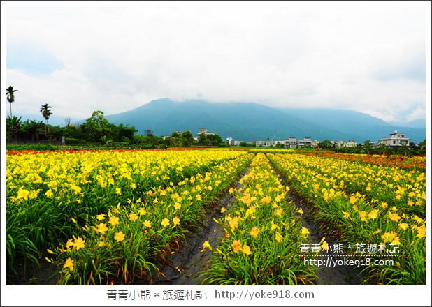 花蓮一日遊.二日遊》好玩必拍花蓮景點推薦~親子小旅行 @青青小熊*旅遊札記 花蓮一日遊.二日遊》好玩必拍花蓮景點推薦~親子小旅行 @青青小熊*旅遊札記