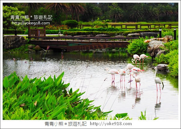 花蓮一日遊.二日遊》好玩必拍花蓮景點推薦~親子小旅行 @青青小熊*旅遊札記 花蓮一日遊.二日遊》好玩必拍花蓮景點推薦~親子小旅行 @青青小熊*旅遊札記