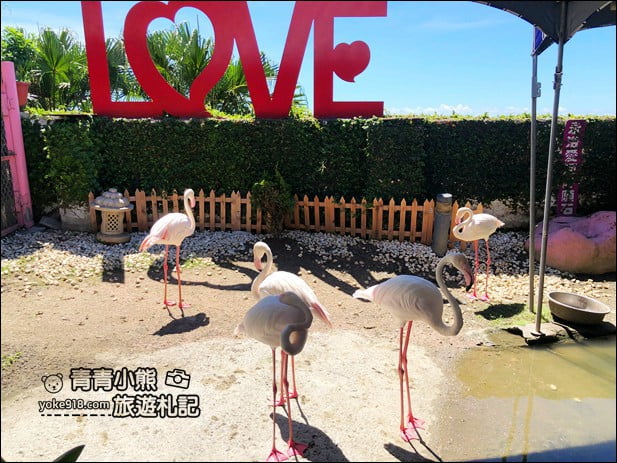 花蓮景點》海景咖啡廳.全台最美的85度c咖啡廳~浪漫海景LOVE造景拍照去 @青青小熊*旅遊札記 花蓮景點》海景咖啡廳.全台最美的85度c咖啡廳~浪漫海景LOVE造景拍照去 @青青小熊*旅遊札記
