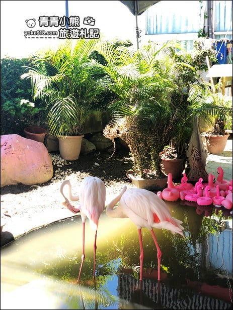 花蓮景點》海景咖啡廳.全台最美的85度c咖啡廳~浪漫海景LOVE造景拍照去 @青青小熊*旅遊札記 花蓮景點》海景咖啡廳.全台最美的85度c咖啡廳~浪漫海景LOVE造景拍照去 @青青小熊*旅遊札記