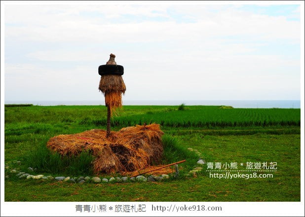 花蓮豐濱景點》新社海梯田．IG熱門打卡點~夢幻鞦韆.藝術造景好好拍 @青青小熊＊旅遊札記