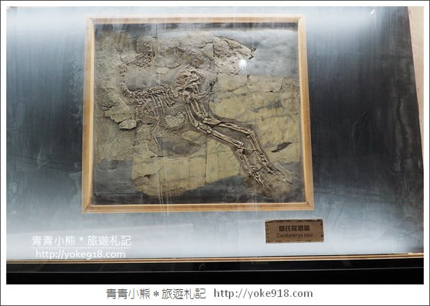 嘉義景點》嘉酒文創園區.恐龍夢公園重返失樂園~親子同遊好去處 @青青小熊*旅遊札記 嘉義景點》嘉酒文創園區.恐龍夢公園重返失樂園~親子同遊好去處 @青青小熊*旅遊札記