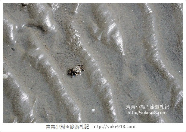 台中必去景點》高美溼地&高美濕地遊客服務中心~親子旅行去 @青青小熊*旅遊札記 台中必去景點》高美溼地&高美濕地遊客服務中心~親子旅行去 @青青小熊*旅遊札記