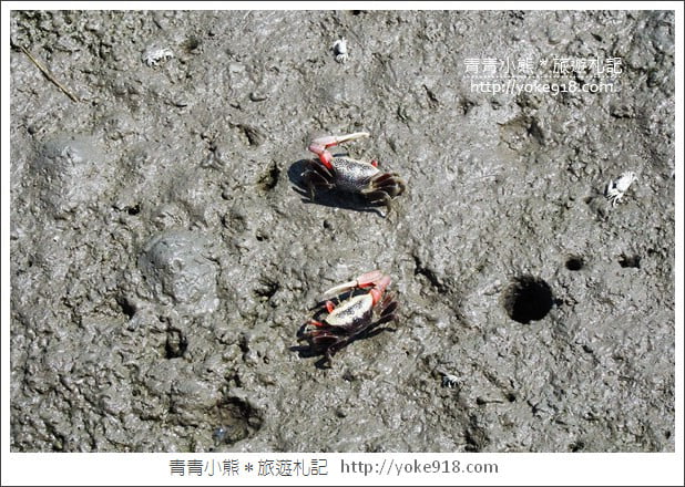 台中必去景點》高美溼地&高美濕地遊客服務中心~親子旅行去 @青青小熊＊旅遊札記