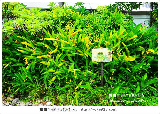 雲林景點》雅聞峇里海岸.超大戲沙池&全新彩繪~免費親子同遊趣 @青青小熊*旅遊札記 雲林景點》雅聞峇里海岸.超大戲沙池&全新彩繪~免費親子同遊趣 @青青小熊*旅遊札記