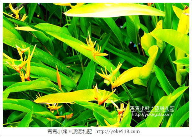 雲林景點》雅聞峇里海岸.超大戲沙池&全新彩繪~免費親子同遊趣 @青青小熊*旅遊札記 雲林景點》雅聞峇里海岸.超大戲沙池&全新彩繪~免費親子同遊趣 @青青小熊*旅遊札記