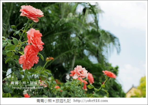 雲林景點》雅聞峇里海岸.超大戲沙池&全新彩繪~免費親子同遊趣 @青青小熊*旅遊札記 雲林景點》雅聞峇里海岸.超大戲沙池&全新彩繪~免費親子同遊趣 @青青小熊*旅遊札記