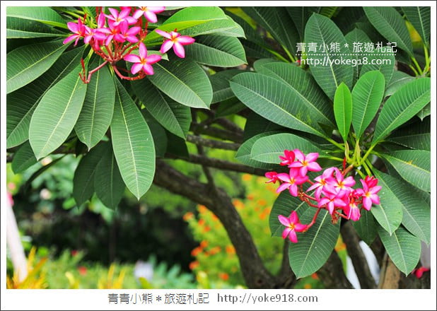 雲林景點》雅聞峇里海岸.超大戲沙池&全新彩繪~免費親子同遊趣 @青青小熊*旅遊札記 雲林景點》雅聞峇里海岸.超大戲沙池&全新彩繪~免費親子同遊趣 @青青小熊*旅遊札記
