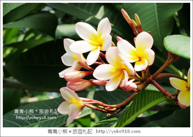 雲林景點》雅聞峇里海岸．超大戲沙池&全新彩繪~免費親子同遊趣 @青青小熊＊旅遊札記