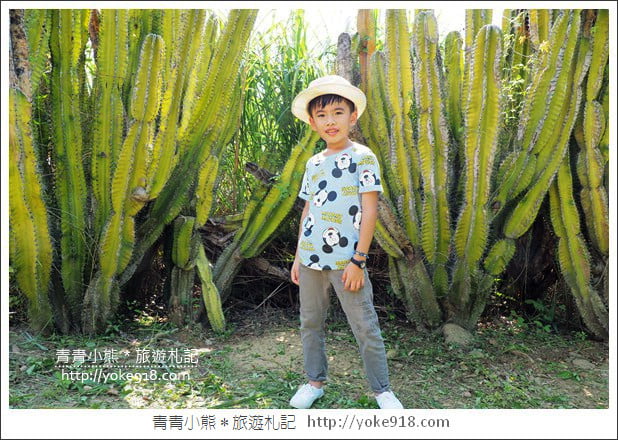 新竹景點》新竹一日遊哪裡好玩?親子.戶外.情侶約會景點推薦~來新竹就這樣玩 @青青小熊*旅遊札記 新竹景點》新竹一日遊哪裡好玩?親子.戶外.情侶約會景點推薦~來新竹就這樣玩 @青青小熊*旅遊札記