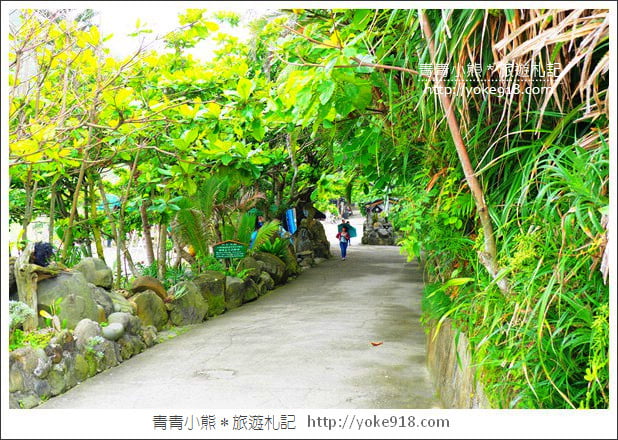 花蓮景點》牛山呼庭．壽豐看海景點~台11線上的秘境草原看海去 @青青小熊＊旅遊札記