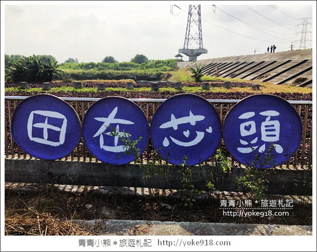 彰化新景點》紫色愛心田．隱藏在竹塘的紫色地瓜葉愛心田好浪漫 @青青小熊＊旅遊札記