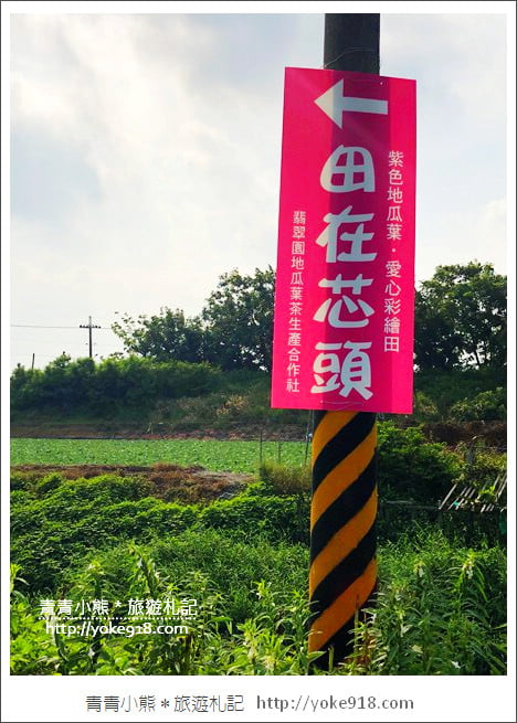 彰化新景點》紫色愛心田．隱藏在竹塘的紫色地瓜葉愛心田好浪漫 @青青小熊＊旅遊札記