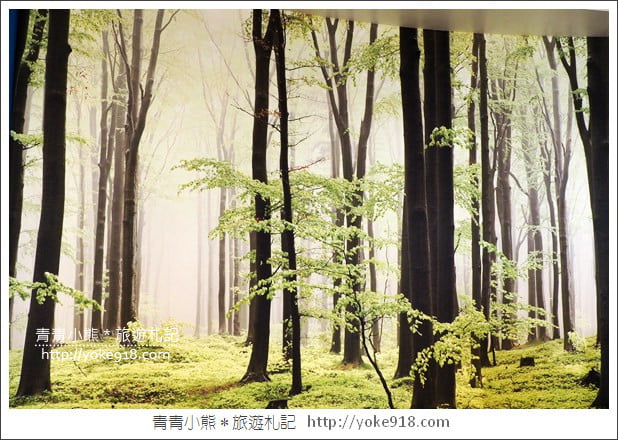 彰化景點》水銡利廚衛生活村.彰化觀光工廠~親子同遊好去處 @青青小熊*旅遊札記 彰化景點》水銡利廚衛生活村.彰化觀光工廠~親子同遊好去處 @青青小熊*旅遊札記