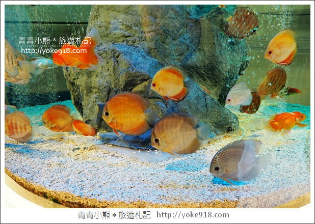 彰化景點》水銡利廚衛生活村．彰化觀光工廠~親子同遊好去處 @青青小熊＊旅遊札記