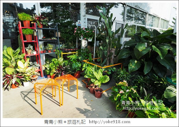 台中景點》大坑山姆派樂景觀餐廳．隱藏版森林系溫室餐廳 @青青小熊＊旅遊札記