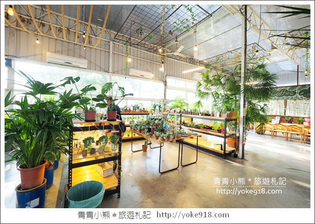 台中景點》大坑山姆派樂景觀餐廳.隱藏版森林系溫室餐廳 @青青小熊*旅遊札記 台中景點》大坑山姆派樂景觀餐廳.隱藏版森林系溫室餐廳 @青青小熊*旅遊札記