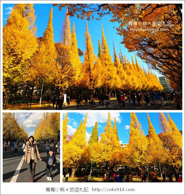 東京景點》明治神宮外苑銀杏大道．這一季最美的金黃大道 @青青小熊＊旅遊札記