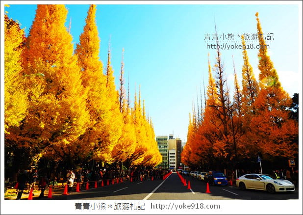 東京景點》明治神宮外苑銀杏大道．這一季最美的金黃大道 @青青小熊＊旅遊札記