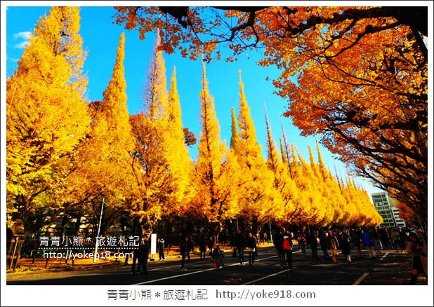 東京景點》明治神宮外苑銀杏大道．這一季最美的金黃大道 @青青小熊＊旅遊札記