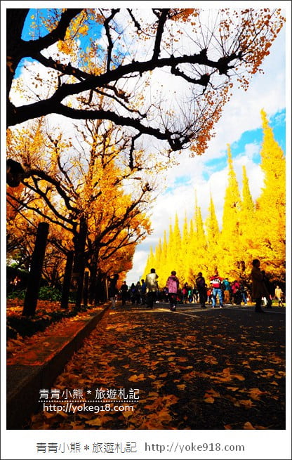 東京景點》明治神宮外苑銀杏大道．這一季最美的金黃大道 @青青小熊＊旅遊札記
