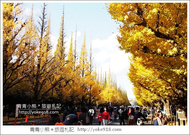 東京景點》明治神宮外苑銀杏大道．這一季最美的金黃大道 @青青小熊＊旅遊札記