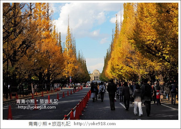 東京景點》明治神宮外苑銀杏大道．這一季最美的金黃大道 @青青小熊＊旅遊札記