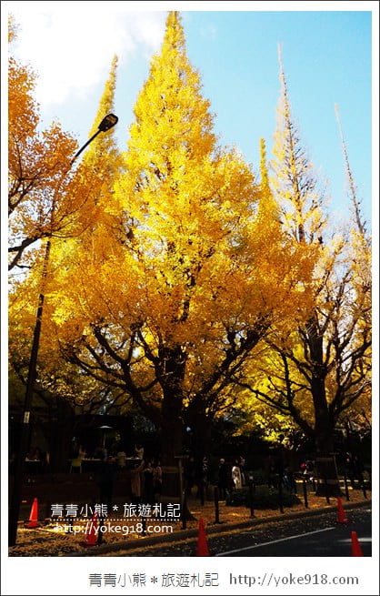 東京景點》明治神宮外苑銀杏大道．這一季最美的金黃大道 @青青小熊＊旅遊札記