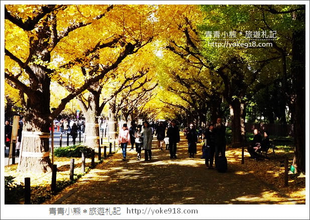 東京景點》明治神宮外苑銀杏大道．這一季最美的金黃大道 @青青小熊＊旅遊札記