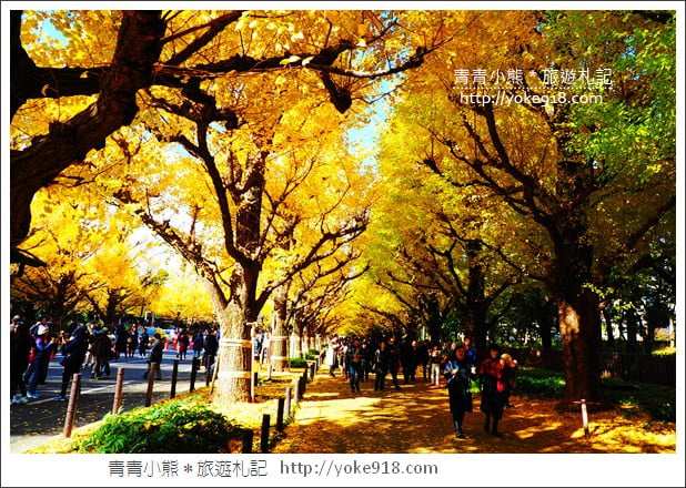 東京景點》明治神宮外苑銀杏大道．這一季最美的金黃大道 @青青小熊＊旅遊札記