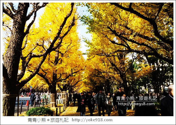 東京景點》明治神宮外苑銀杏大道．這一季最美的金黃大道 @青青小熊＊旅遊札記