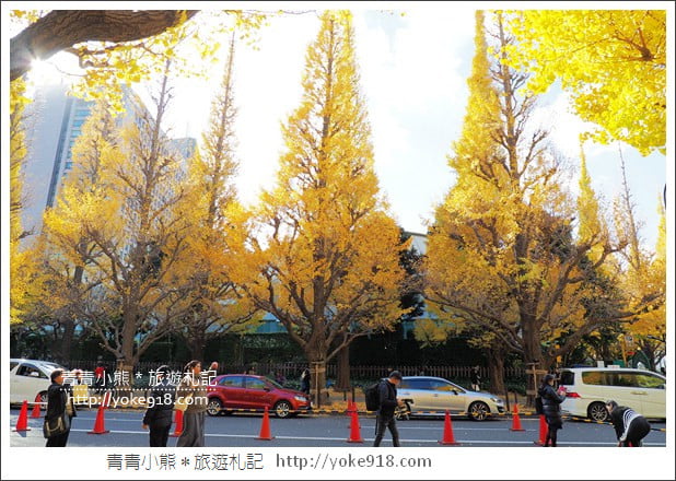 東京景點》明治神宮外苑銀杏大道．這一季最美的金黃大道 @青青小熊＊旅遊札記
