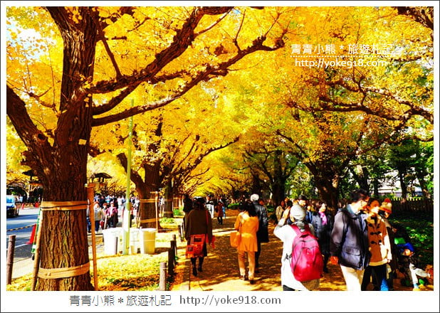 東京景點》明治神宮外苑銀杏大道．這一季最美的金黃大道 @青青小熊＊旅遊札記