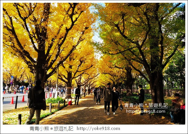 東京景點》明治神宮外苑銀杏大道．這一季最美的金黃大道 @青青小熊＊旅遊札記