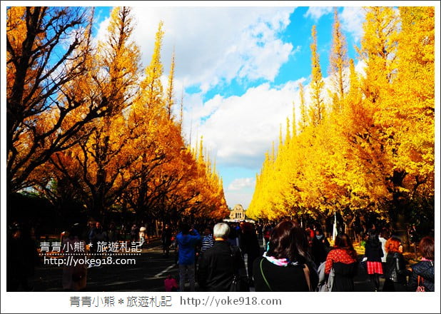 東京景點》明治神宮外苑銀杏大道．這一季最美的金黃大道 @青青小熊＊旅遊札記