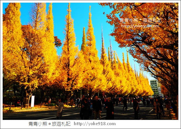 東京景點》明治神宮外苑銀杏大道．這一季最美的金黃大道 @青青小熊＊旅遊札記