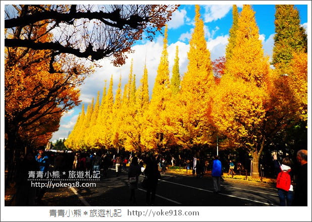 東京景點》明治神宮外苑銀杏大道．這一季最美的金黃大道 @青青小熊＊旅遊札記