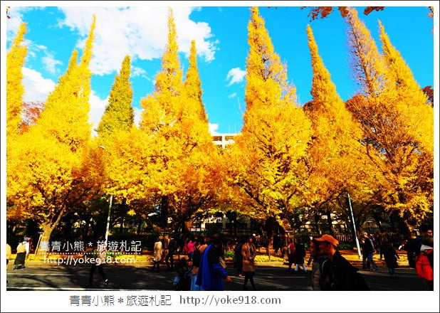 東京景點》明治神宮外苑銀杏大道．這一季最美的金黃大道 @青青小熊＊旅遊札記