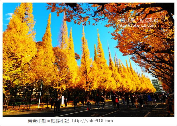 東京景點》明治神宮外苑銀杏大道．這一季最美的金黃大道 @青青小熊＊旅遊札記