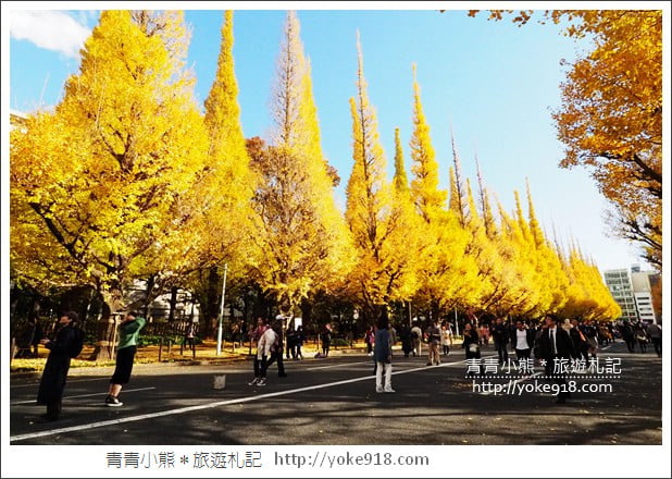 東京景點》明治神宮外苑銀杏大道．這一季最美的金黃大道 @青青小熊＊旅遊札記