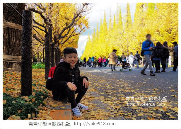 東京景點》明治神宮外苑銀杏大道．這一季最美的金黃大道 @青青小熊＊旅遊札記