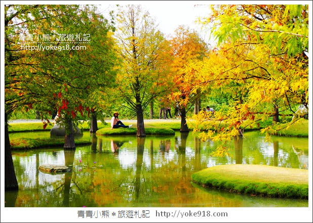 雲林落羽松景點》虎尾青埔落羽松.水池小山丘~小而美的園區好好拍 @青青小熊*旅遊札記 雲林落羽松景點》虎尾青埔落羽松.水池小山丘~小而美的園區好好拍 @青青小熊*旅遊札記
