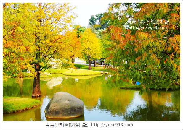 雲林落羽松景點》虎尾青埔落羽松.水池小山丘~小而美的園區好好拍 @青青小熊*旅遊札記 雲林落羽松景點》虎尾青埔落羽松.水池小山丘~小而美的園區好好拍 @青青小熊*旅遊札記