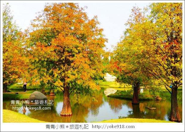 雲林落羽松景點》虎尾青埔落羽松.水池小山丘~小而美的園區好好拍 @青青小熊*旅遊札記 雲林落羽松景點》虎尾青埔落羽松.水池小山丘~小而美的園區好好拍 @青青小熊*旅遊札記